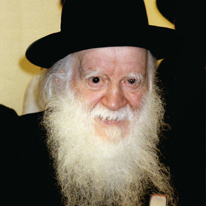 Rav Yehuda Zev Segal